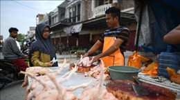 COVID-19 prompts urgency to cope with food waste crisis: Experts