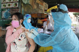 Việt Nam đề cao tầm quan trọng của việc phổ cập vaccine ngừa COVID-19