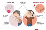 Cách phân biệt COVID-19 và sốt xuất huyết