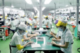 Experts seek ways for Vietnam to have healthier supply chain