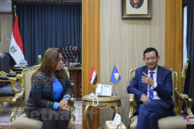 Vietnam, Egypt look to beef up trade, investment ties