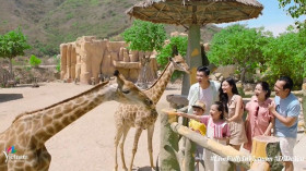 2022年旅游业七大趋势