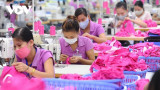 Garment sector set to enjoy growth rate of 11.2%