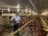 Nông dân Đinh Ngọc Khương: Thành công với mô hình nuôi gà lạnh công nghệ cao