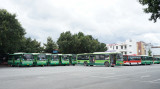 Vận tải hành khách bằng xe buýt: Kịp thời hỗ trợ để phục hồi và phát triển