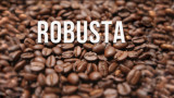 Vietnamese Robusta coffee setting world records