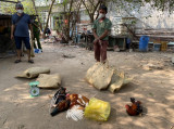 Triệt phá sới đá gà ăn tiền tại địa bàn giáp ranh phường Bình Hòa và TP.Thủ Đức