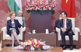 推动越匈合作走深走实