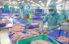 Doanh nghiệp thủy sản Việt Nam vượt khó đón cơ hội tăng trưởng