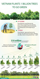 Vietnam plants 1 billion trees to go green