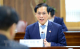 Bộ Ngoại giao thông tin về sức khỏe của Bộ trưởng Bùi Thanh Sơn