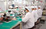 Cơ sở để kỳ vọng kinh tế Việt Nam phục hồi và tăng trưởng trở lại