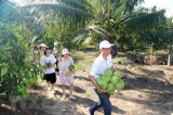 Bình Thuận: Sẵn sàng đón khách du lịch quốc tế trong điều kiện an toàn