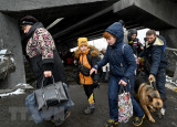 Ukraine nỗ lực sơ tán người dân qua 6 hành lang nhân đạo