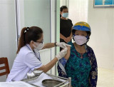 Từ đại dịch tới bệnh đặc hữu: Việt Nam sống chung an toàn với COVID-19
