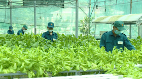 Lực lượng vũ trang huyện Bắc Tân Uyên: “Đoàn kết, mẫu mực, kỷ cương, linh hoạt, sáng tạo, quyết thắng”