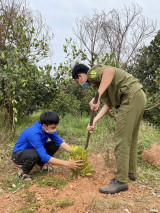 Binh Duong youth launch and take part in