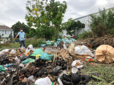 Cần xử lý tình trạng vứt rác thải bừa bãi