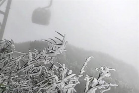 老街省番西邦峰在春季出现霜冻现象
