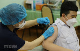 TP.HCM triển khai tiêm vaccine cho trẻ từ 5 đến dưới 12 tuổi
