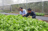 Huyện Bàu Bàng: Quan tâm giải quyết việc làm cho lao động nông thôn
