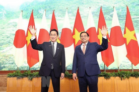 Vietnam emerging as important economy in Southeast Asia: Indian expert