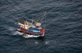 VINAFAS slams China’s fishing ban in East Sea
