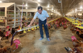 Phát triển nông nghiệp theo hướng ứng dụng công nghệ cao