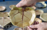 Độc đáo những chiếc đĩa thân thiện với môi trường từ lá nho biển