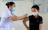 Vietnam documents 1,594 COVID-19 cases on May 15