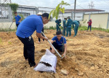 Thị đoàn Tân Uyên: Phát động “Tết trồng cây đời đời nhớ ơn Bác Hồ”