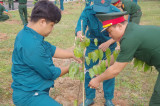 Bộ Chỉ huy Quân sự tỉnh: Phát động “Tết trồng cây đời đời nhớ ơn Bác Hồ”