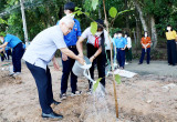 Lãnh đạo tỉnh dự lễ phát động “Tết trồng cây đời đời nhớ ơn Bác Hồ” tại các địa phương