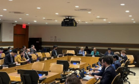 Vietnam co-chairs consultation on UNGA draft resolution epidemic preparedness, response