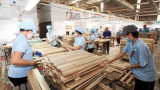越南与马来西亚签署木材行业的合作文件