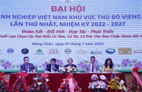 Vietnam business association in Vientiane holds first congress
