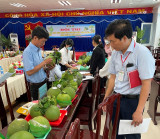 Huyện Bắc Tân Uyên: Chấm điểm hội thi trái cây 5 sao đợt 1