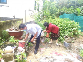 Số ca sốt xuất huyết tại Bình Dương vẫn tăng cao, thêm 1 ca tử vong