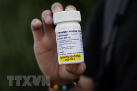 Tăng cường các biện pháp kiểm soát, phòng, chống bệnh đậu mùa khỉ