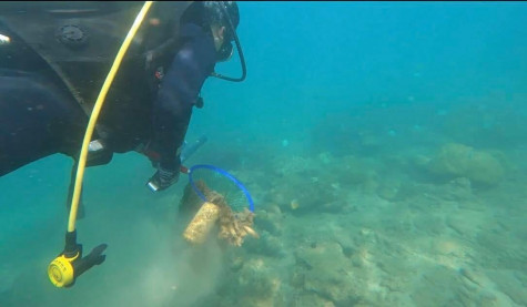 新监测方法使占婆岛海洋生态系统中塑料垃圾得到彻底清除