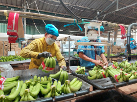 Xây dựng làng thông minh, phát triển nông thôn bền vững -  Kỳ 2