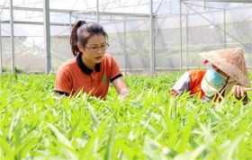 Tôn vinh và lan tỏa những tấm gương nông dân Việt Nam xuất sắc 2022