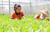 Tôn vinh và lan tỏa những tấm gương nông dân Việt Nam xuất sắc 2022