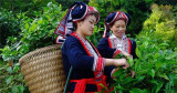着力增强越南少数民族妇女的经济权能