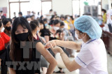 9月25日越南新增确诊病例创近2个月以来新低