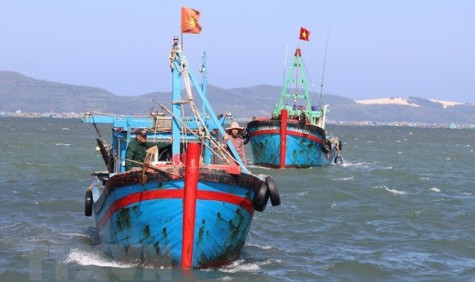 越南着力预防和阻止IUU捕捞 解除欧盟委员会对越南的“黄牌”警告