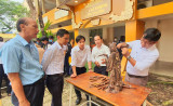 Binh Duong Junior College of Fine Arts and Culture opens new school year