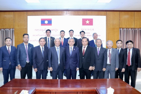 Vietnam, Laos’s peace committees eye stronger ties - Báo Bình Dương Online