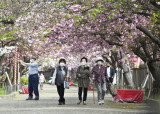 Nhật Bản mở cửa trở lại cho khách du lịch sau hai năm rưỡi