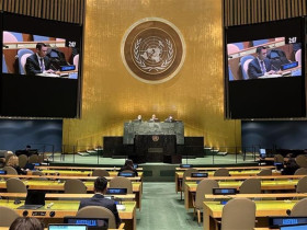 ASEAN pledges efforts to promote nuclear-free Southeast Asia: Ambassador